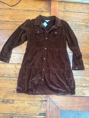 American Eagle Outfitters Brown Corduroy Button-Front Jacket